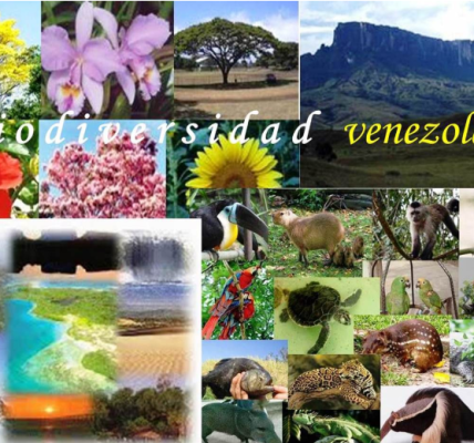 ¿Qué Finalidad Tiene el Movimiento Ecologista en Venezuela? Por Hjalmar Jesús Gibelli Gómez