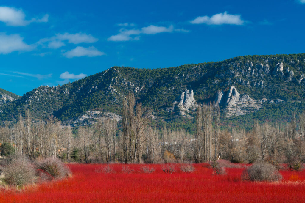 Campos rojos de la ruta del mimbre en Cuenca. Por JUAN CARLOS MUNOZ.