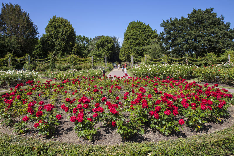regent park que hacer en londres