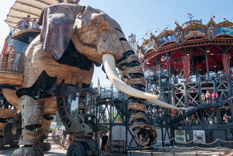 Elefante Nantes Carrusel Mundos Marinos