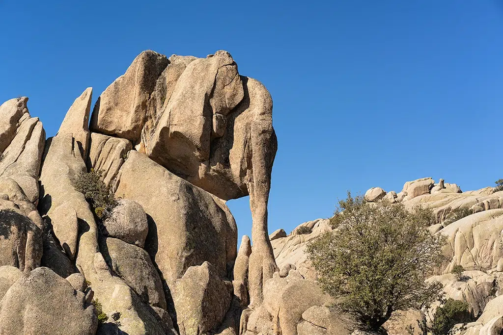 Piedra con forma de elefante en La Pedriza