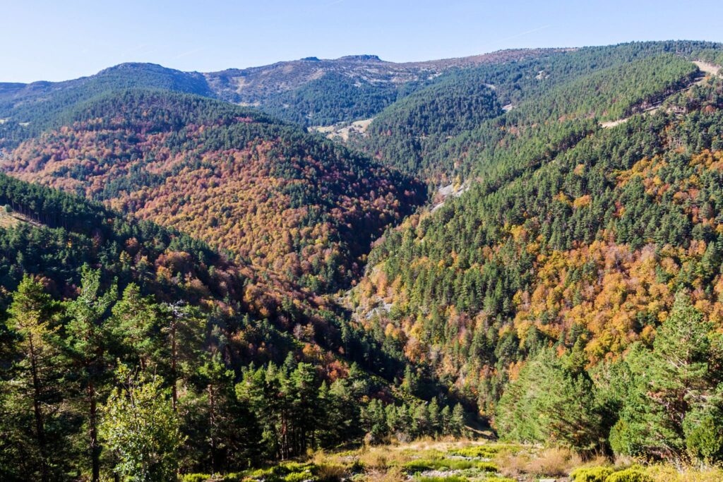 Sendero de La Dehesa en la sierra de Cebollera (La Rioja). Por Matyas Rehak
