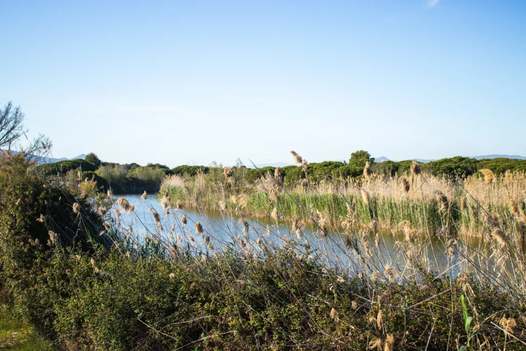 Delta del Llobregat, en Barcelona