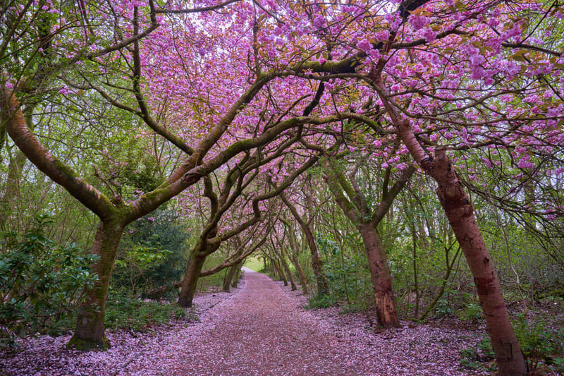 heaton park manchester