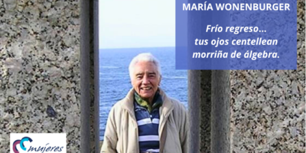 Oswaldo Karam Macia | María Wonenburger: La Brillante Matemática Gallega Olvidada hasta el Siglo XXI
