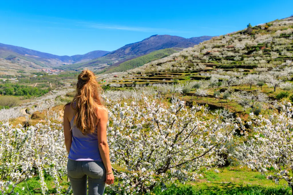 Valle del Jerte (Extremadura)