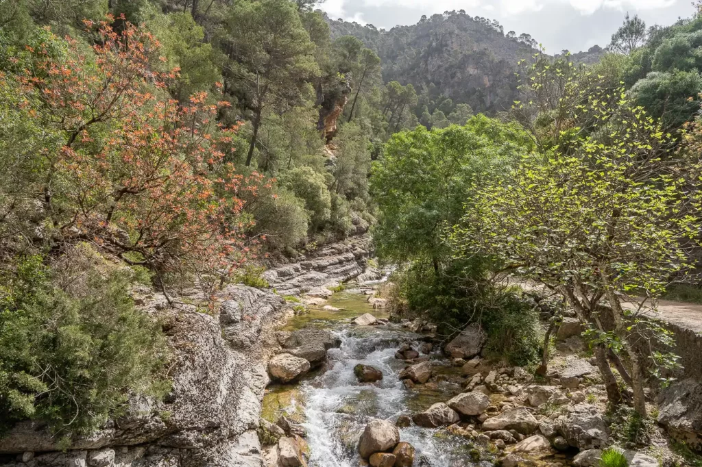 Ruta del Río Borosa