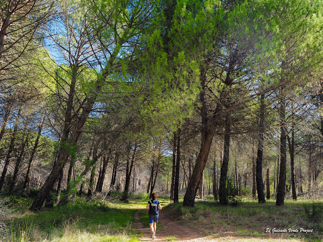 Monasterio de la Vid, naturaleza, por El Guisante Verde Project