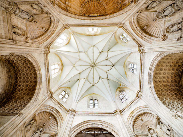Monasterio de la Vid, iglesia, cúpula, por El Guisante Verde Project