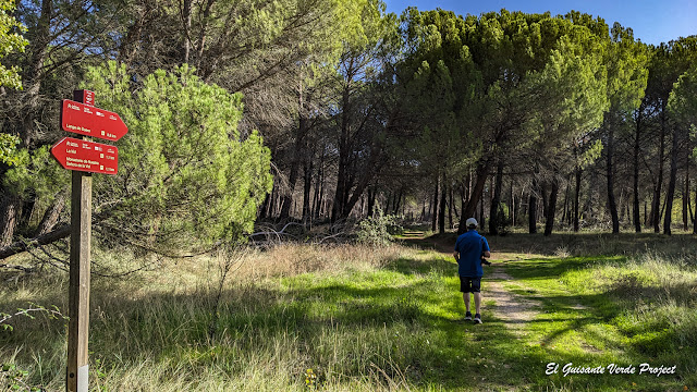 Camino Natural Senda del Duero - El Guisante Verde Project