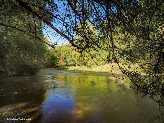 Camino Natural Senda del Duero, rio Duero - El Guisante Verde Project
