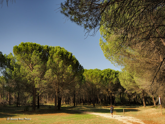 Monasterio de la Vid, senda del Duero - El Guisante Verde Project
