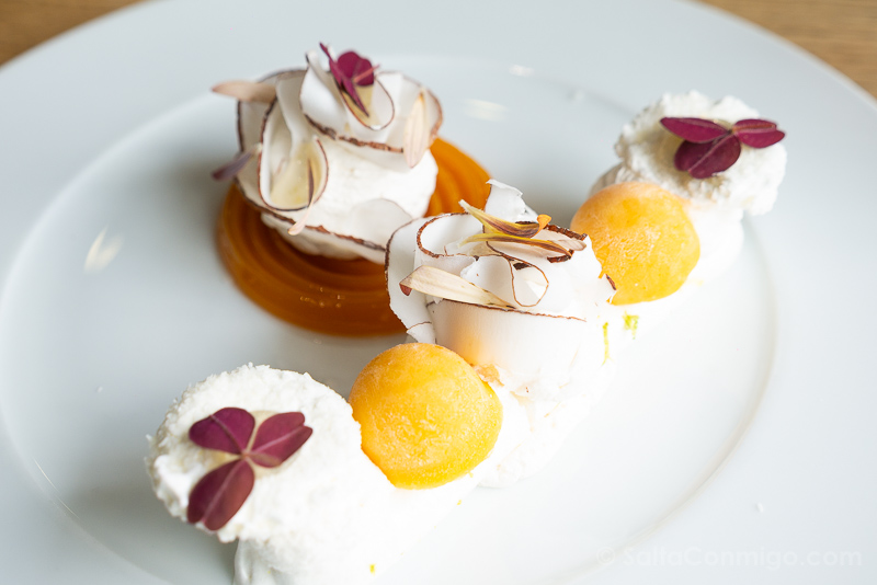Cite du Vin de Burdeos Latitude 20 Brasserie Postre