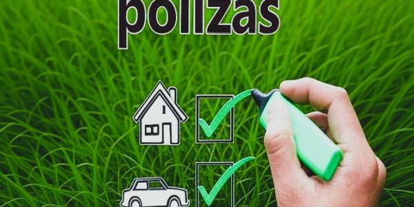 Ligia Carolina Gorriño Castellar - Revolución en el sector seguros ¡El auge de las pólizas ecológicas y sostenibles! - FOTO