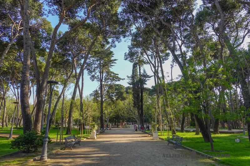 parque miguel servet huesca ciudad