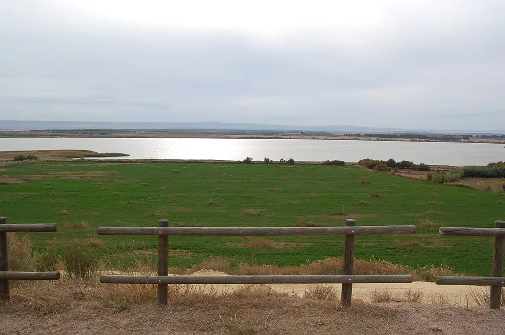 Laguna de Sariñena.