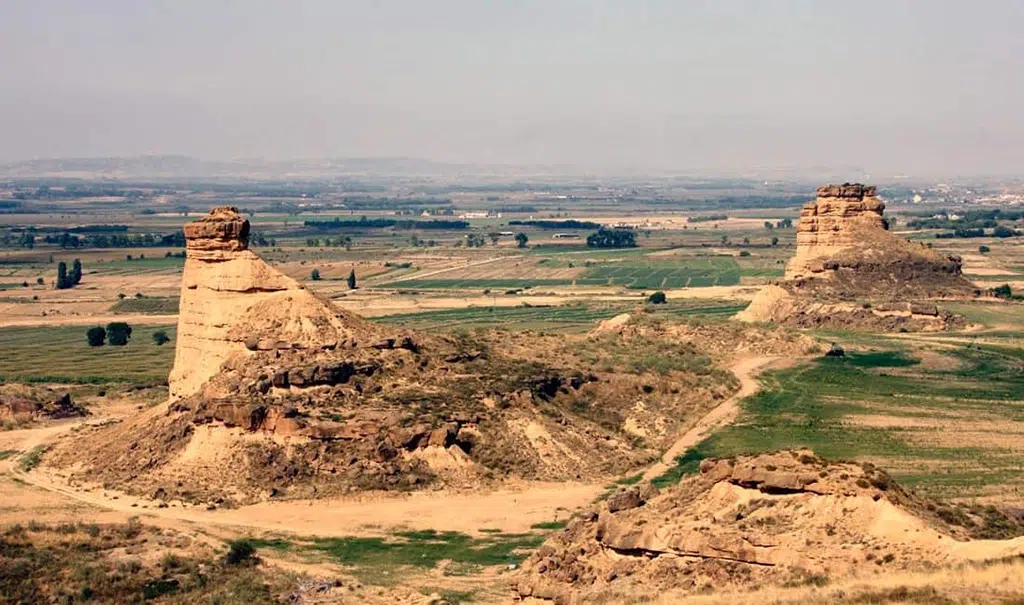 Torrollones de La Gabarda (Los Monegros, Aragón).
