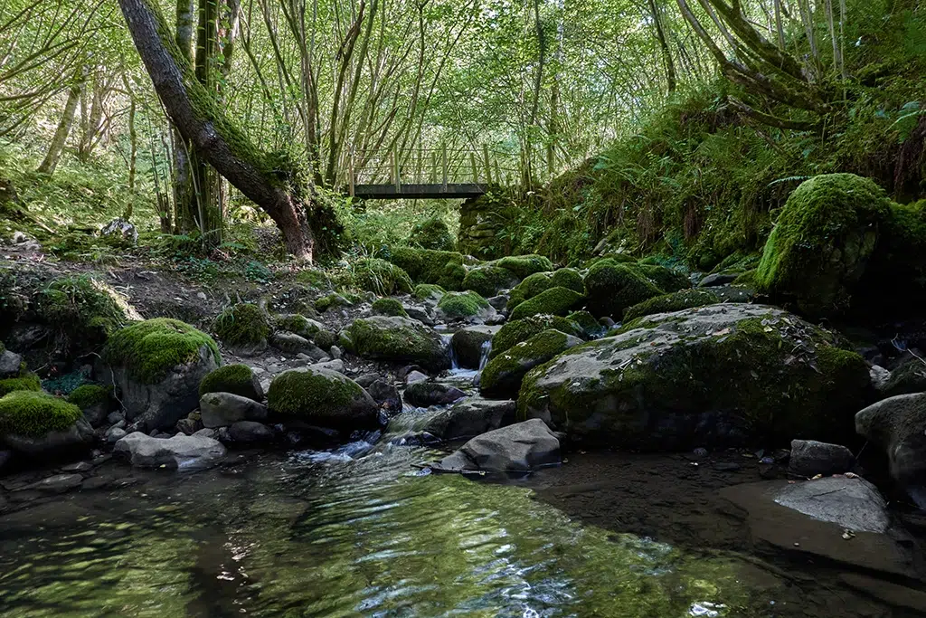 Beyu Pen (Asturias), una de las sendas mitológicas con más encanto.