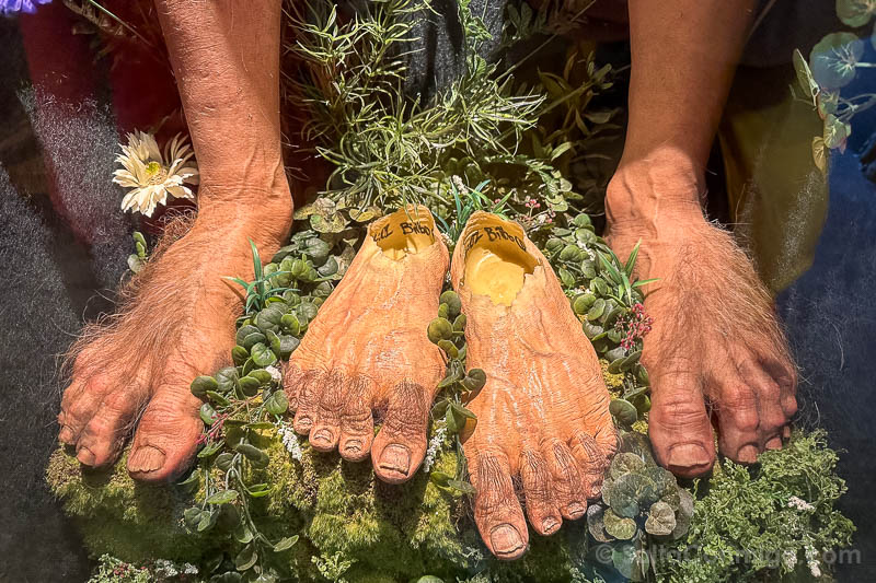 Senor Anillos Wellington Weta Workshop Pies Hobbit