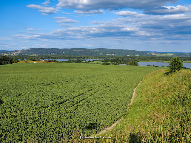 Fetsund Lenser, sendero al lago Øyeren, Noruega, por El Guisante Verde Project