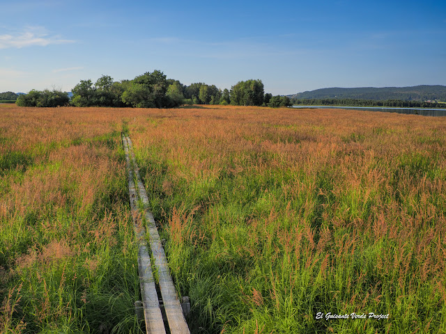 Fetsund Lenser, sendero del delta, Noruega, por El Guisante Verde Project