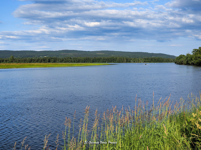 Fetsund Lenser, delta del río Glomma, Noruega, por El Guisante Verde Project