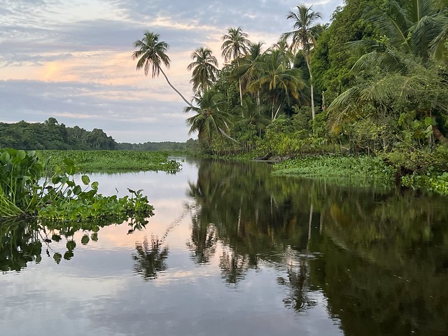 Reflejos del Delta del Orinoco (Venezuela)