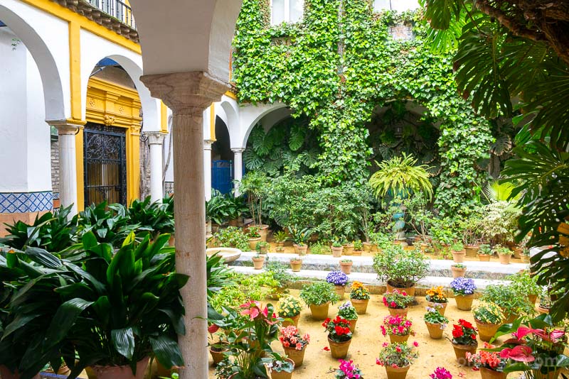 Que Ver en Sevilla Barrio Santa Cruz Patio