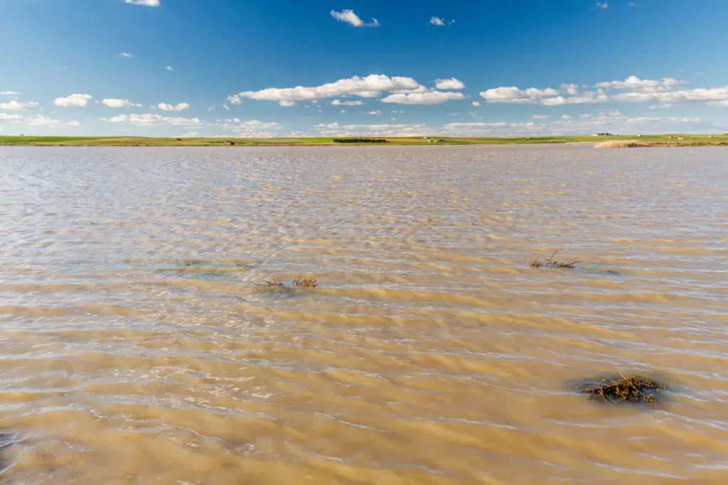 Laguna Salina Grande en la reserva natural de Las Lagunas de Villafáfila. Por LFRabanedo.