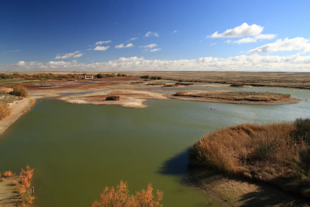 Reserva Natural de Las Lagunas de Villafáfila, Zamora. Por LFRabanedo.