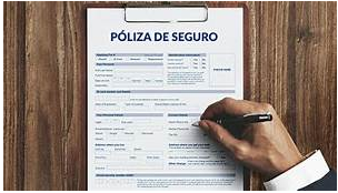 Hjalmar Jesús Gibelli |Más Allá de la Póliza: Decodificando las 5 C Esenciales del Seguro