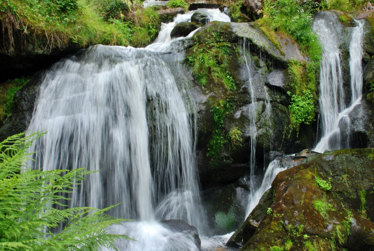 La preciosa cascada de Triberg La preciosa cascada de Triberg
