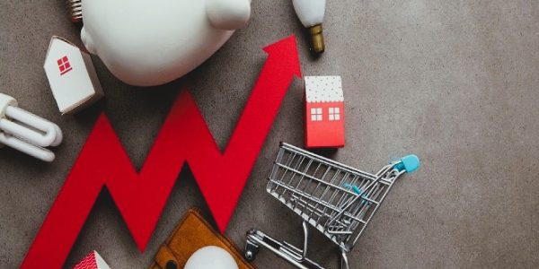 Luis Alberto Pérez González - Economía doméstica ¡Clave para una calidad de vida sostenible! - FOTO