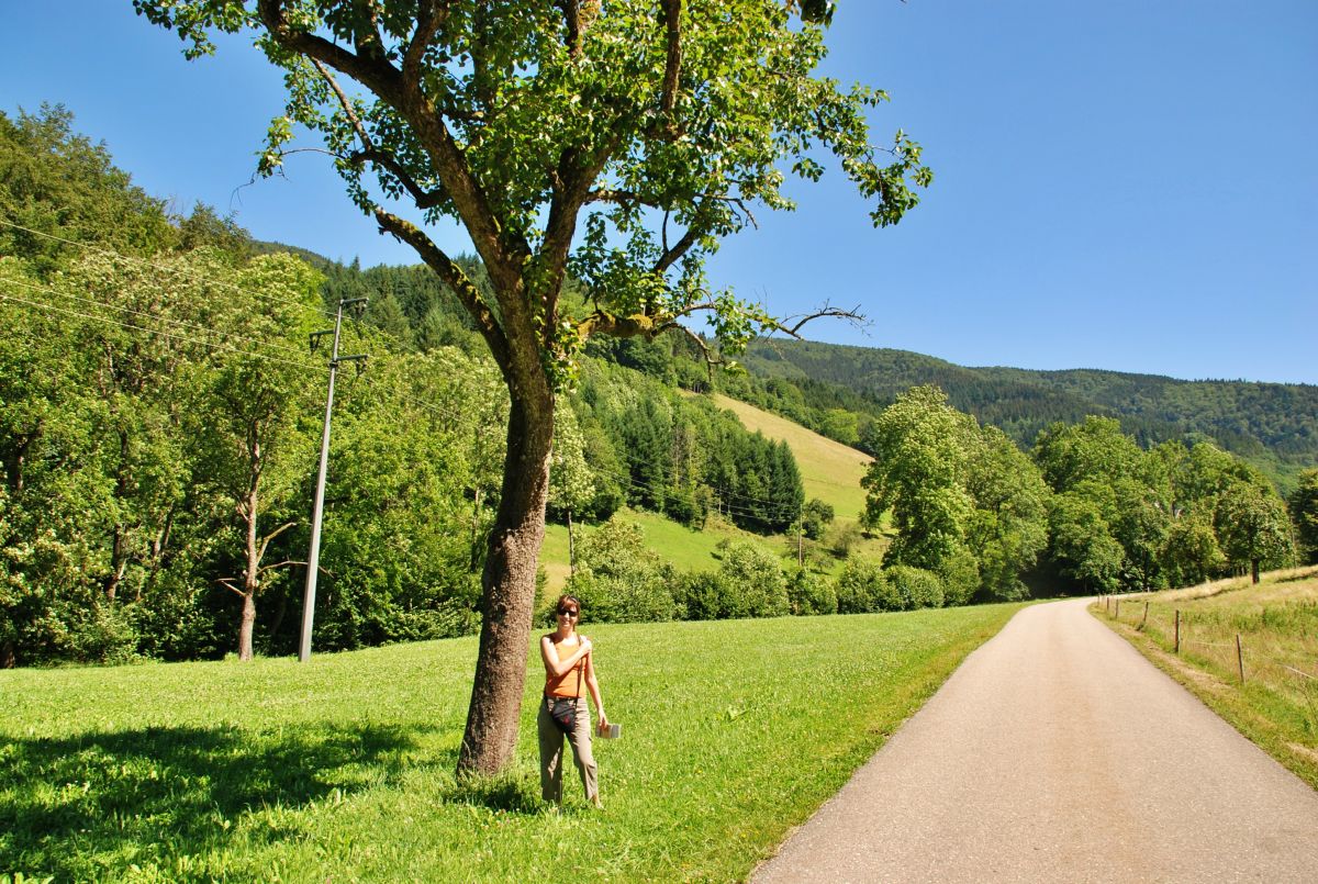 Paseando por la ruta de los molinos en Simonswald Paseando por la ruta de los molinos en Simonswald