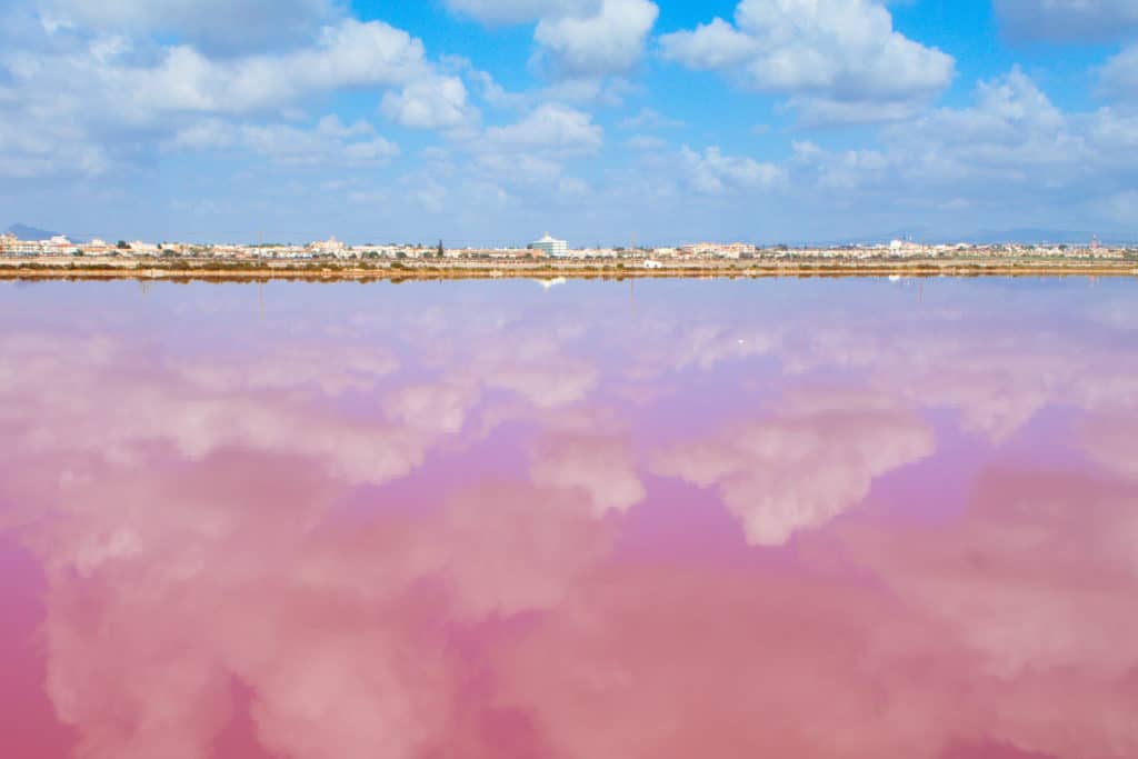 Salina de San Pedro del Pinatar, Región de Murcia