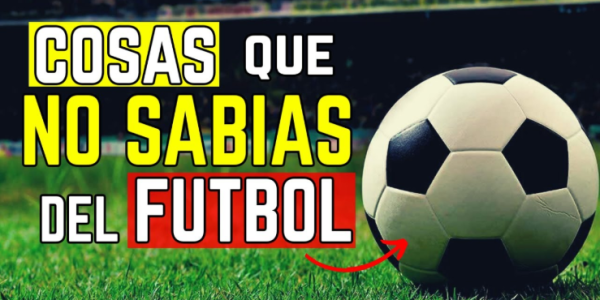 Joao Rafael Silva Robertson