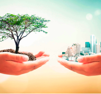Hjalmar Jesús Gibelli Gómez | Qué Importancia Tiene la Ecología en Nuestro País (España)