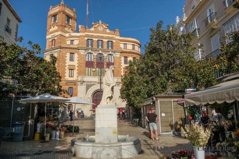 Plaza flores que ver en cadiz