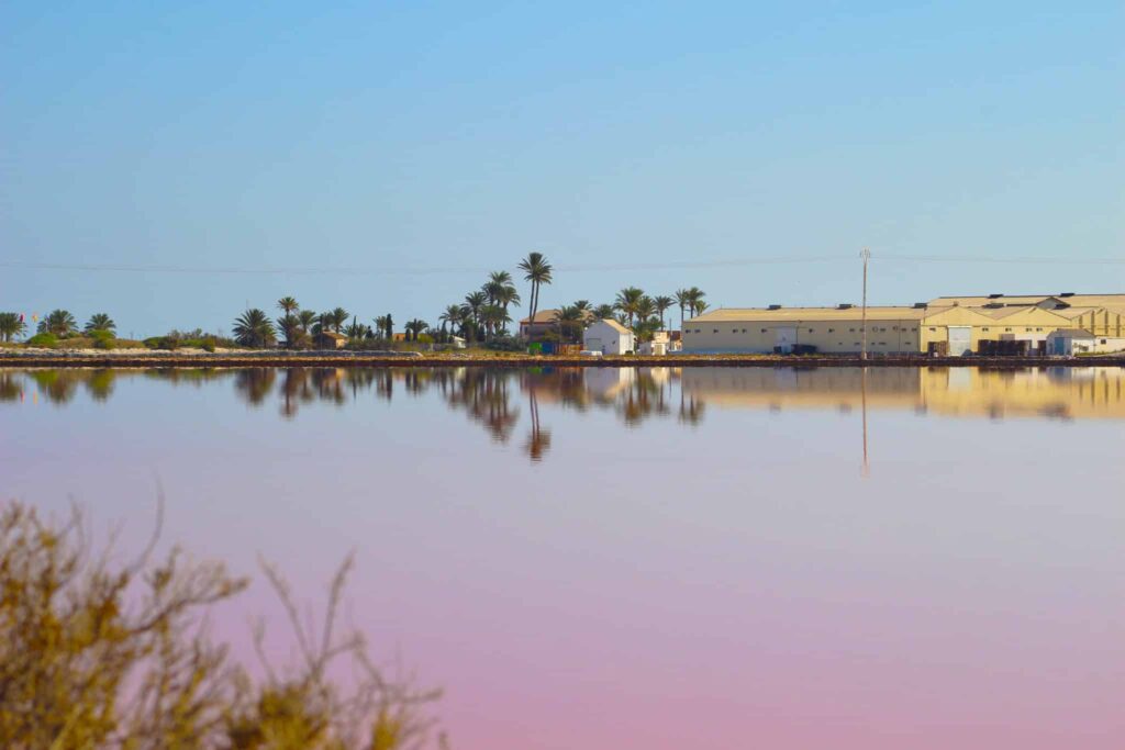 Salinas de San Pedro del Pinatar