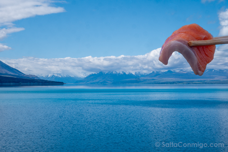 Lago Pukaki Salmon Nueva Zelanda
