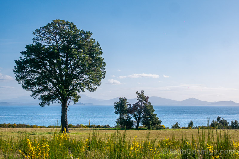 Lagos de Nueva Zelanda Lake Taupo Mirador