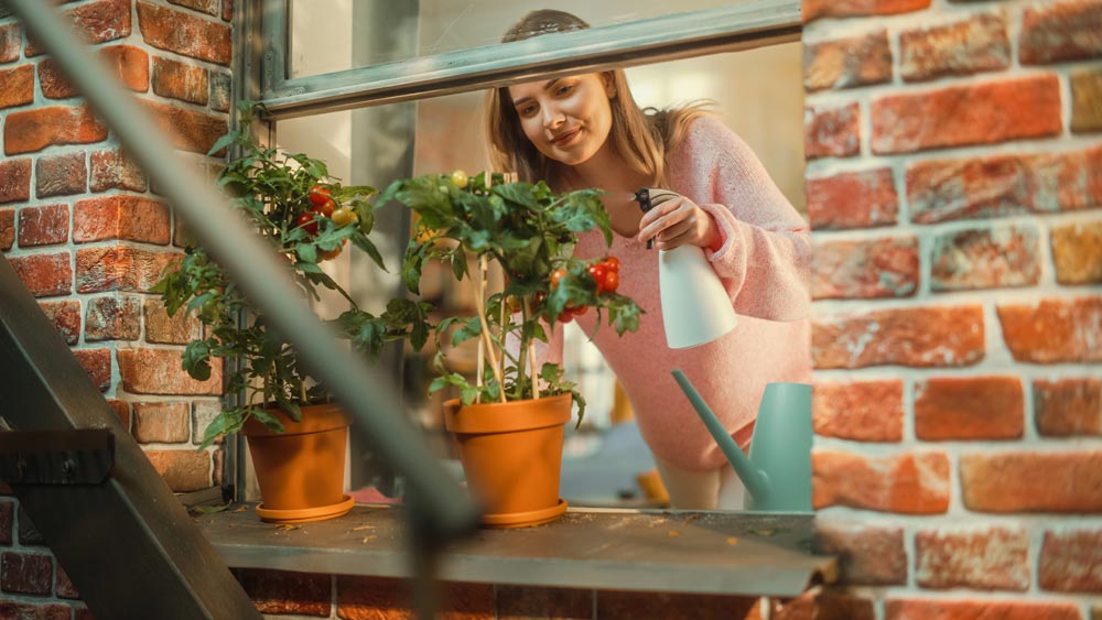 horticultura urbana