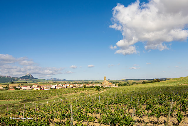 Elvillar y sus viñedos, Álava, por El Guisante Verde Project