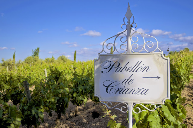 Viñedos de Rioja Alavesa, por El Guisante Verde Project