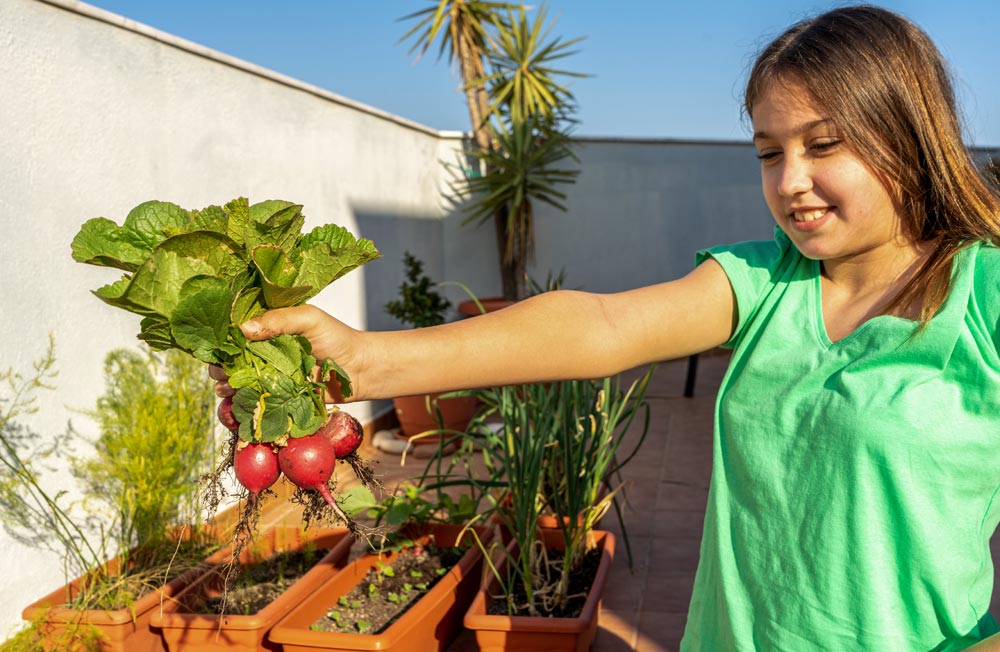 horticultura urbana