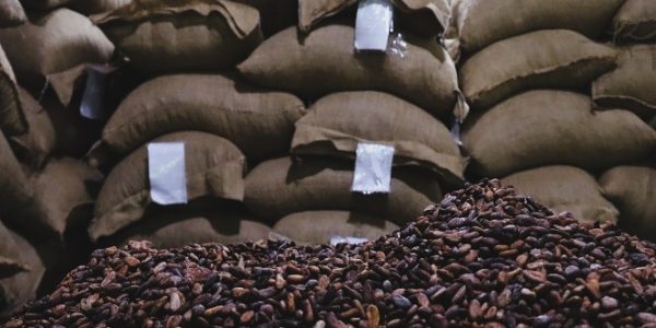 Ministra Coromoto Godoy - Venezuela exporta 50 toneladas de cacao en grano a Rusia - FOTO