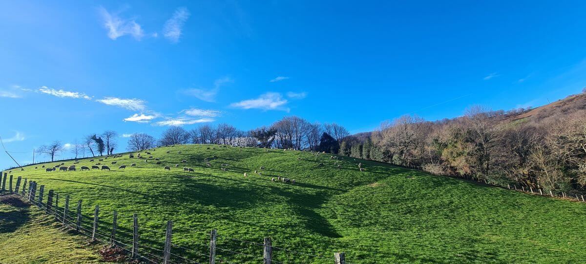 Paisajes antes de llegar al Molino del Infierno