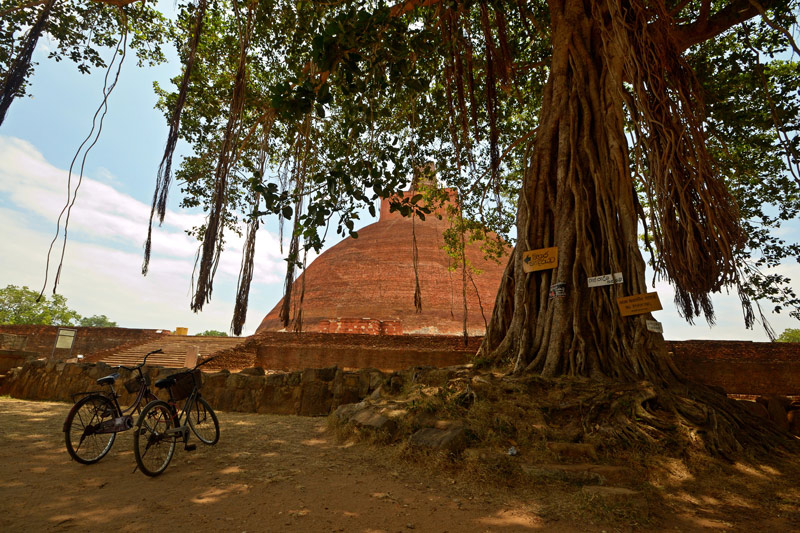 Formas de visitar Anuradhapura