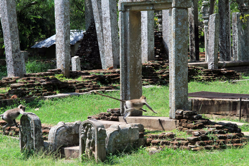Lovamahapaya