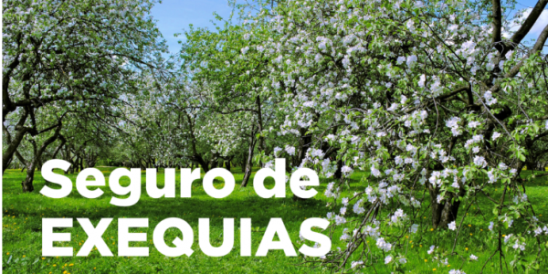 Más Allá del Último Adiós: Qué es un Seguro de Exequias y Por Qué Es una Inversión en Tranquilidad